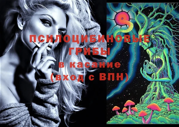 молекула духа Алексин