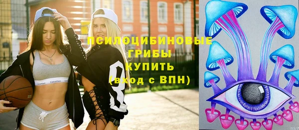молекула духа Алексин