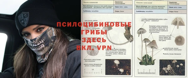 дурь Россошь
