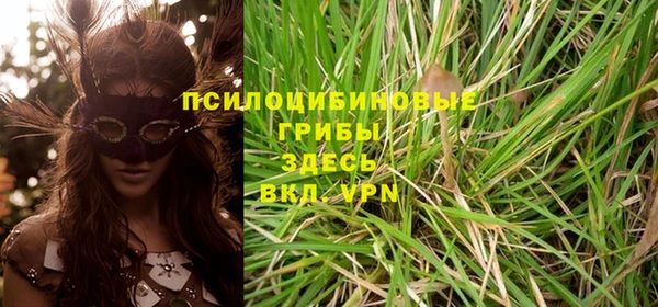 соль курить ск Абаза