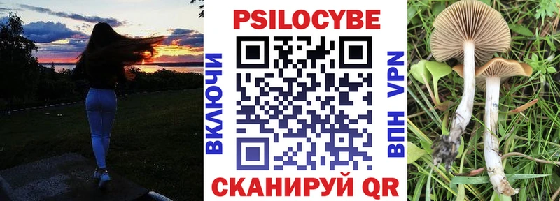 цена   Киржач  мега сайт  Псилоцибиновые грибы GOLDEN TEACHER 